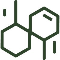 Plene Biodegradable Polyester